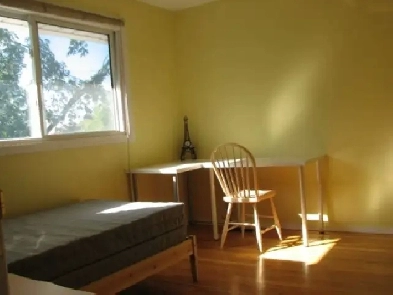 Rooms near Carleton University and Algonquin College Image# 1