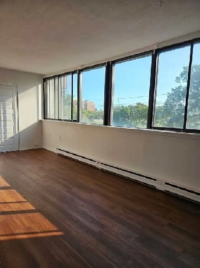 Studio Apt | Prime Location | Emera Oval Views | 2074 Robie St | Image# 1