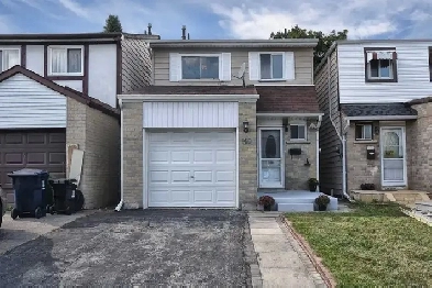Scarborough Two Bedrooms, Sep Entrance Basement For  Rent! Image# 1