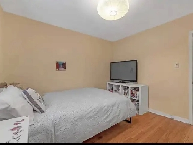Room for Rent Image# 1