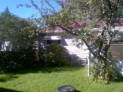 Furnished Basement Rooms Near University of Calgary-1 year lease Image# 1