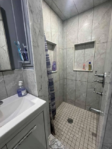 1 Bedroom Basement for Rent in Toronto Image# 1