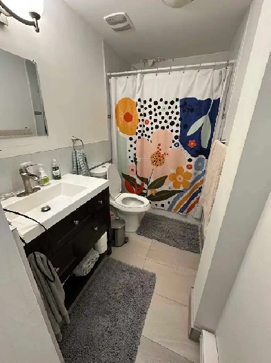 logement à louer Image# 1