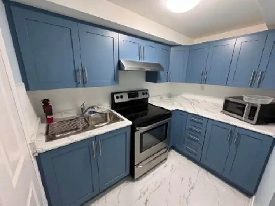 1B 1B basement apartment for rent - Scarborough/Morningside U Image# 1