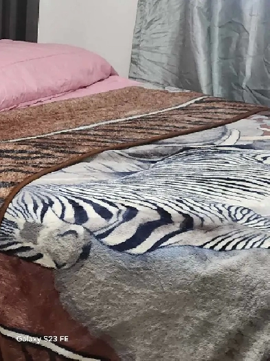 Chambre meublée à louer dans un 51/2 Image# 1