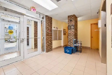 80 Florence Street (Unit 706) - Studio - Available from Septembe Image# 1