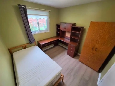 2 Rooms, $700 and $1200 in Basement Unit for Rent Image# 1