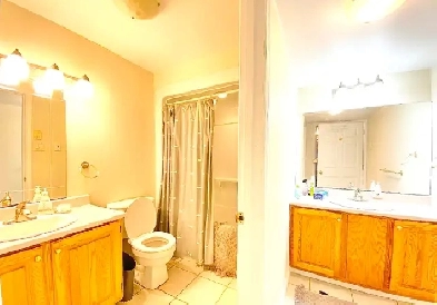 Room For Rent (On The Hill Uptown) Dog & Cat Friendly - Open Now Image# 1