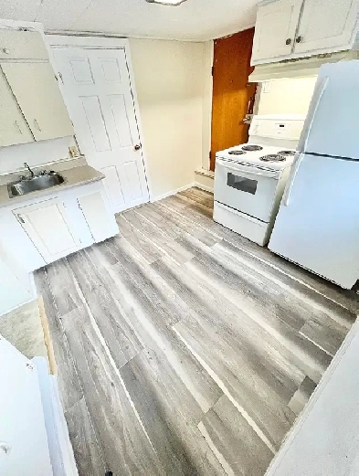 1 Bedroom Apartment Downtown (Open Now) - Dog & Cat Friendly Image# 1