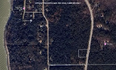 Stunning 1.09acre property w/ privacy & mature trees in Belair! Image# 1