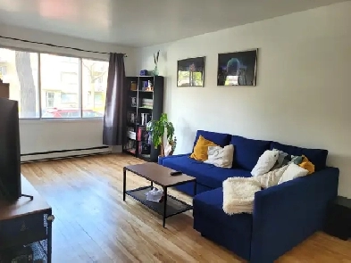 4 1/2 appartement lumineux à Villeray Image# 1
