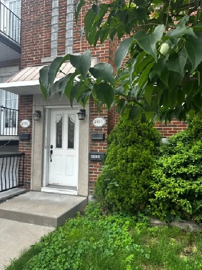 Beautiful  5½ with Parking & Backyard – NDG Image# 1