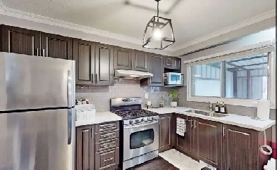 1 Bed, 1 Bath - Beautiful & Bright Image# 1