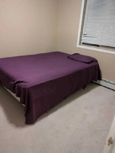 seeking female roommate. includes own washroom in Saddletown Image# 1
