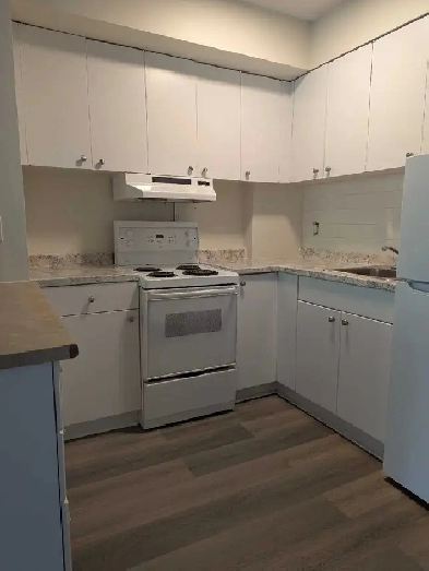 one bedroom apartment Image# 1