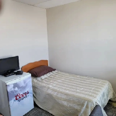 Furnished single bachelor- all utilities included-pet friendly Image# 1