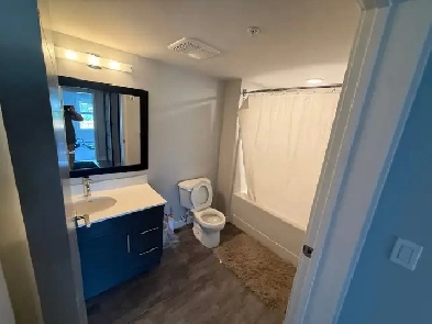 Single Roommate Wanted Image# 1