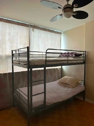 Room Rentals and Roommates Image# 1
