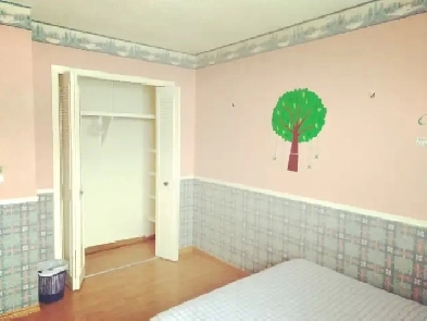 EdgemontNW upstairs 130sqf furnished room incl utility EZtransit Image# 1
