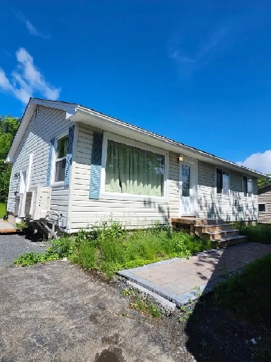 291B Canterbury - Newly renovated Bachelor, Laundry, H/L incl. Image# 1