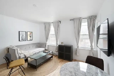 ⭐️ 3 1/2 à louer – Centre-Sud Montréal / 1 Bed 1 Bath Apartment Image# 1