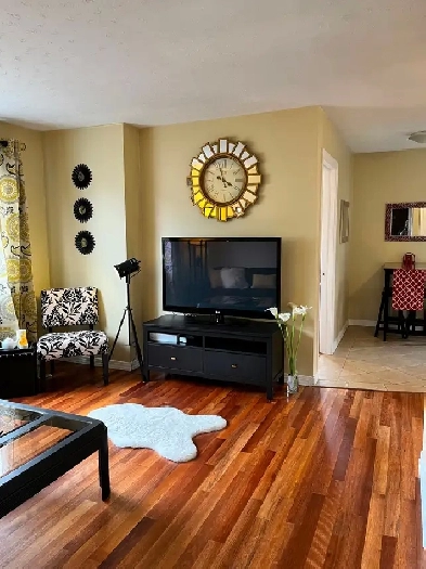 Furnished Heat Lights Internet Downtown  Apt. Aug1 ! Image# 1