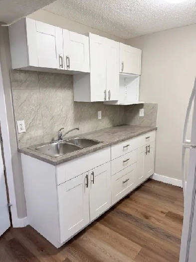 ALL NEW RENO! LOCATION!Walk 2 LRT/grocry-2BR LEGAL Bsmt-B 1st 2 Image# 1