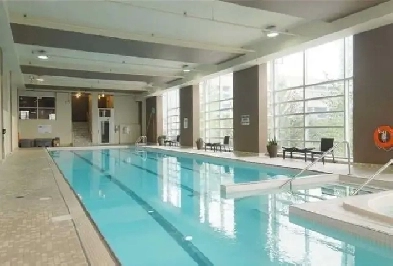 Seeking Professional Roommate at Downtown District Condo Image# 1