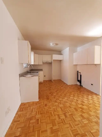 Logement à louer 41/2 haut duplex, Plateau, Brébeuf- Mont-Royal Image# 1