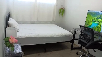 $690/ MONTH: FURNISHED: A ROOM FOR RENT Image# 1