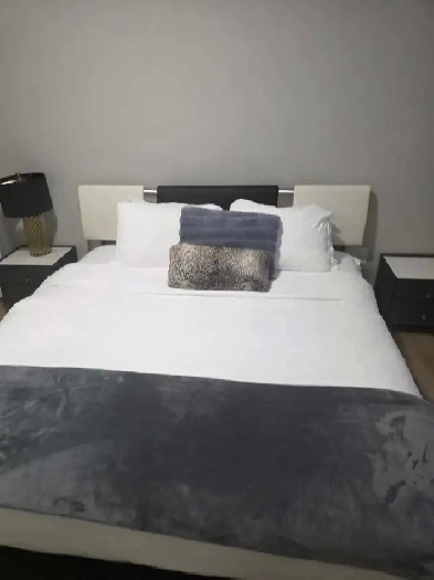 Renting my basement for people to stay in! Image# 1