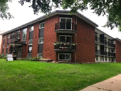 Fully renovated cat friendly 1 Bedroom suite for rent Image# 1