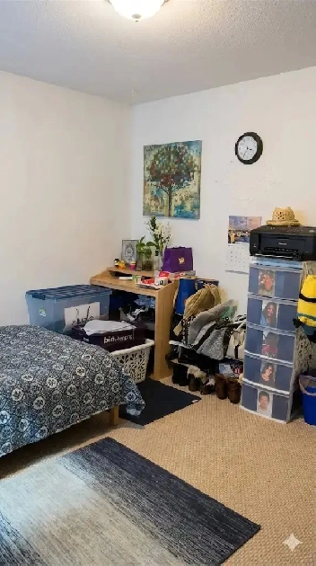 3 beds, 1 bath Basement, $1200, 5 min walk to SW Shawnessy Ctrai Image# 1