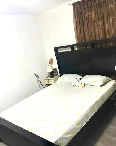 2  rooms in Scarborough Image# 1