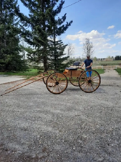 LOOKING TO LEASE ACREAGE.  Hall of Fame Horseman , semi-retired, Image# 1