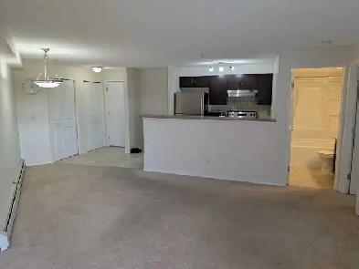 Spotless 1-Bed 1-Bath Condo Apartment in Evergreen Image# 1