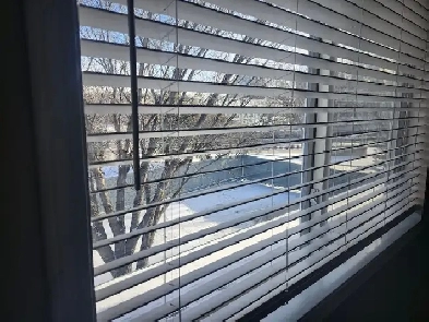Large Bright Room near MacEwan, NAIT, Kingsway (townhouse) Image# 1