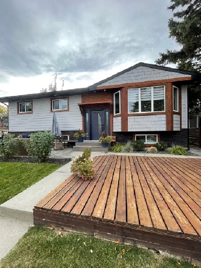 LOWER LEVEL 1 BEDROOM IN SOUTHWOOD AVAILABLE TODAY! Image# 1