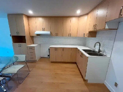 3 ½ rénové parking 4 électros - Hochelaga -1490 $ - 6 min. Metro Image# 1