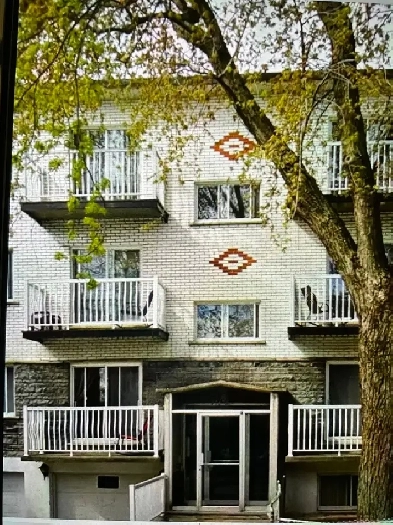 Appartement a louer / Apartment for rent Montreal Nord Image# 1
