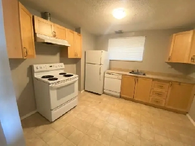 Beautiful 2 Bedroom Legal Lower Suite - Albert Park, Calgary, AB Image# 1