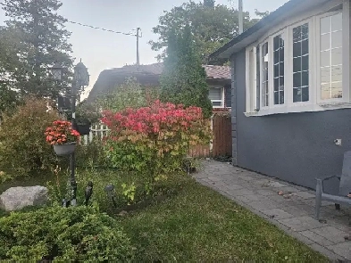 Bungalow house Main floor for Rent ( Mccowan & Lawrence) Image# 1