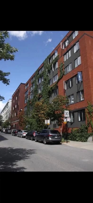 Logement 3 1/2 accessible coop. d’habitation Image# 1
