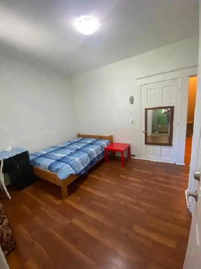 Cozy couple room available from Aug 29th single/couple Image# 1