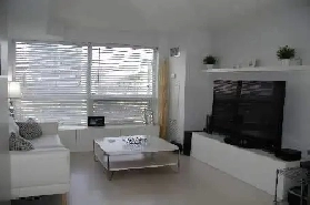 Furnished Bachelor/Studio at College Park 763 Bay Street Image# 1