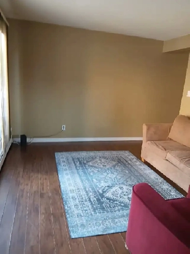 Spacious & Bright 1-Bedroom Apartment - Downtown Edmonton Image# 1