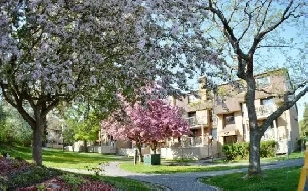 2 Bedrooms, 2 Bath apartment for rent in Barrhaven Image# 1