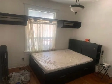 Seeking roommate for apartment in Dufferin Grove area image