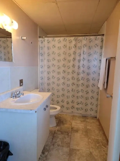 All Utilities are included,pet friendly , bachelor suite Image# 1