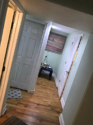 Beautiful shared room for only  girl Image# 1
